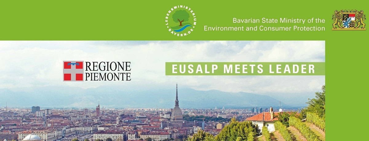 EUSALP meets LEADER