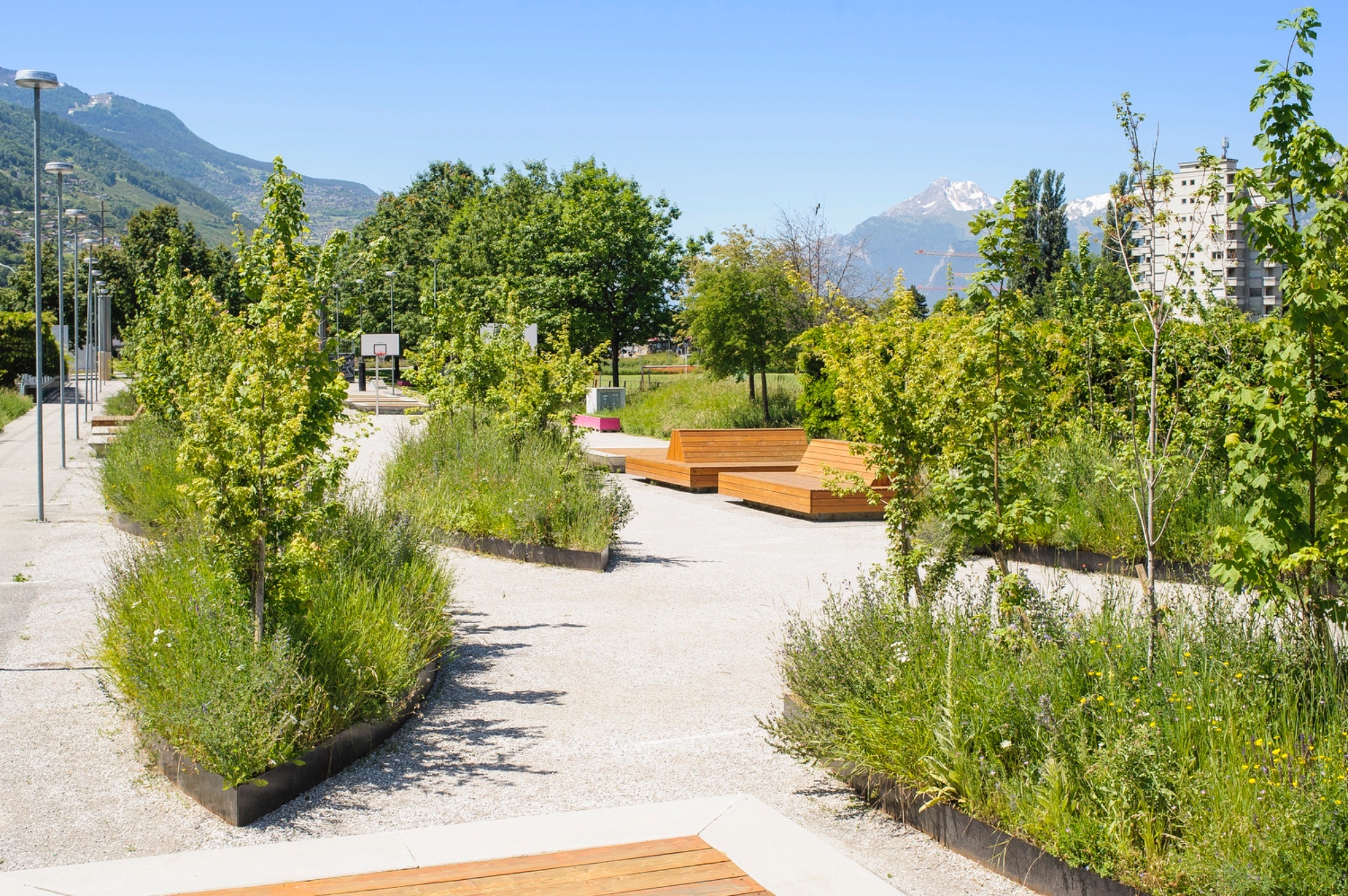 Naturbasierte Lösungen: Best-Practice-Massnahmen für Biodiversität und Klima 