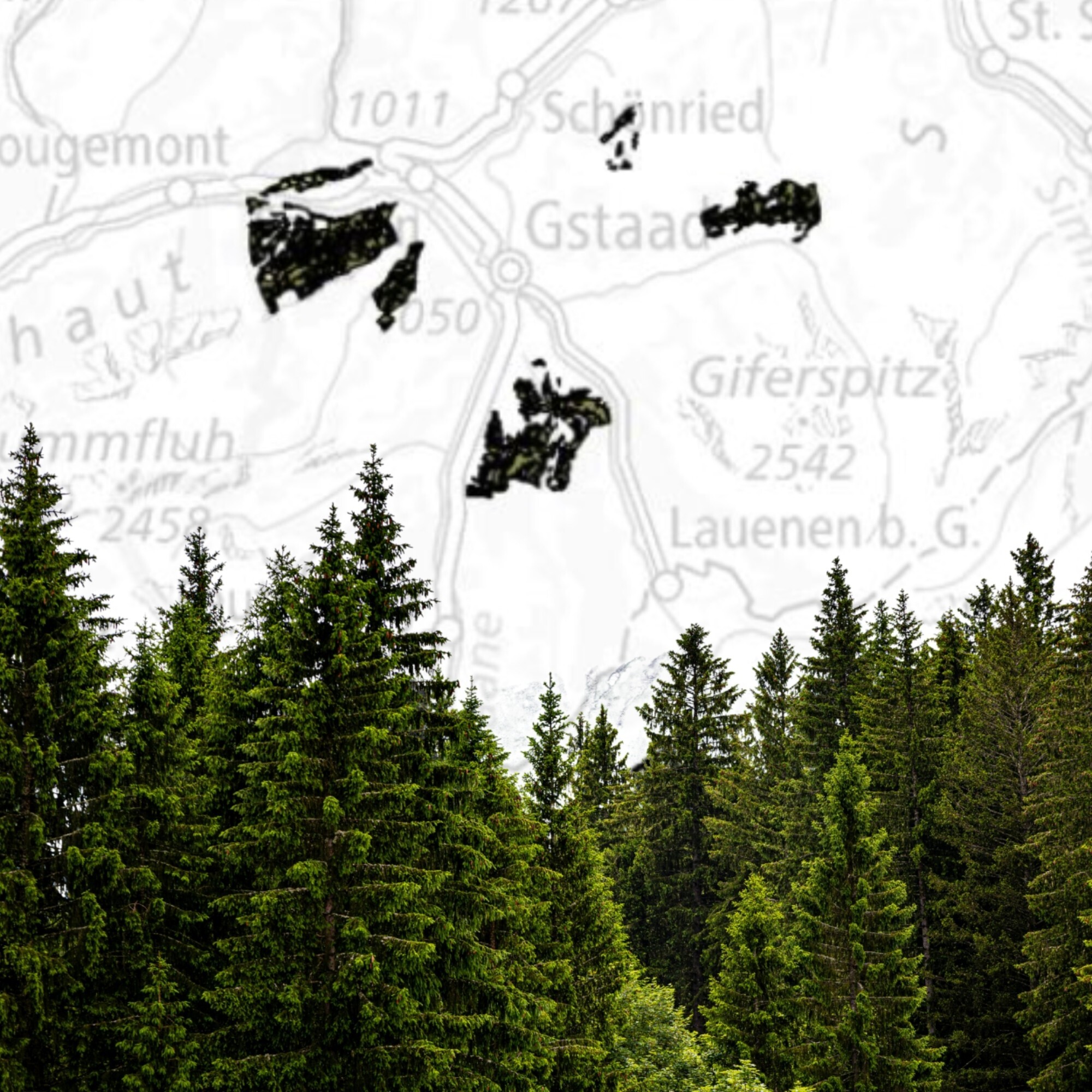 Zukunftswald Saanenland: Potenzialanalyse